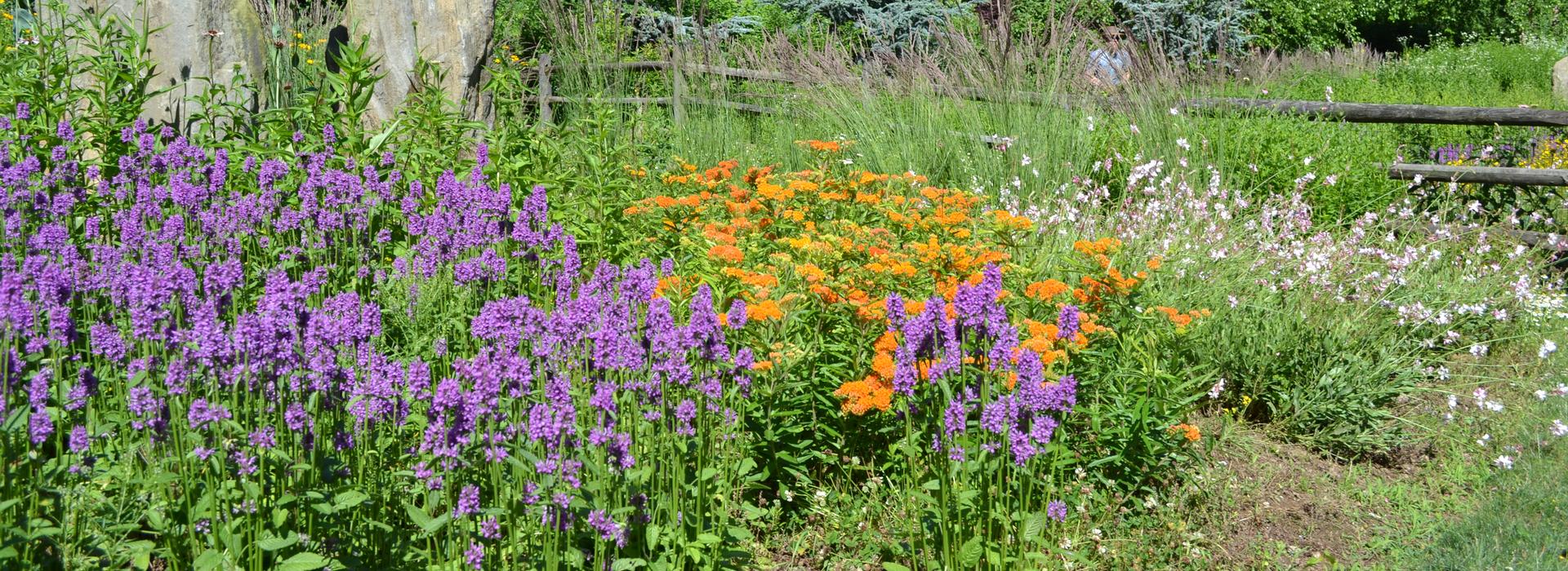 Ebert's Greenhouse Village