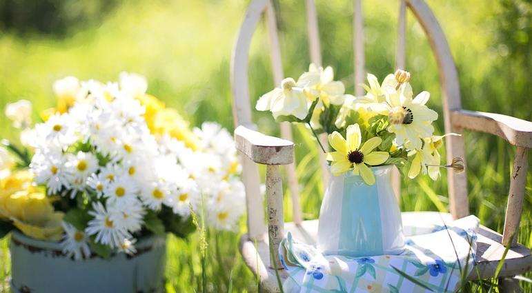 Find peace in the garden. Find peace in the garden.