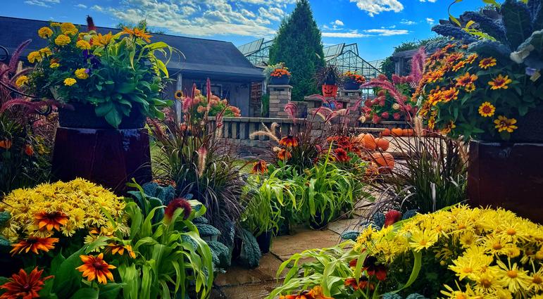 Seven Tips for Creating a Beautiful Fall Container