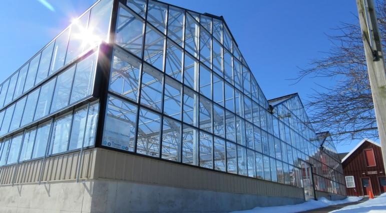 New Showcase Greenhouse