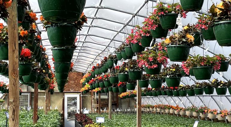 'Twas the Week Before Opening: A Poem