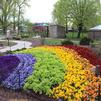 Planting the Color Wheel Part 1: The Rainbow Garden (Kid-friendly)!