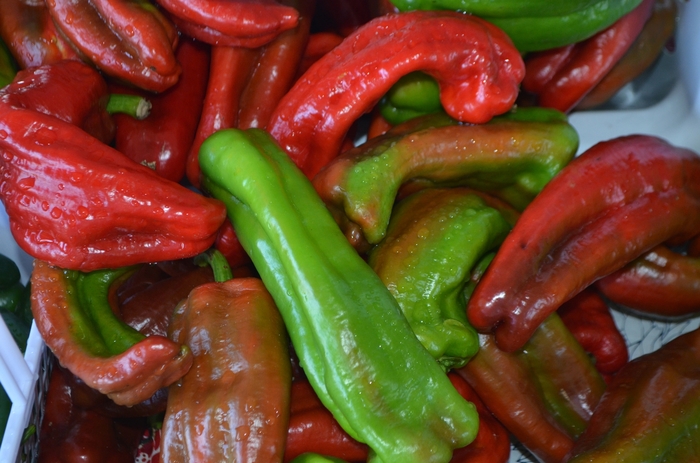 Pepper, Sweet Bell - Capsicum annuum 'Marconi Red' Pepper, Sweet Bell - Capsicum annuum 'Marconi Red'