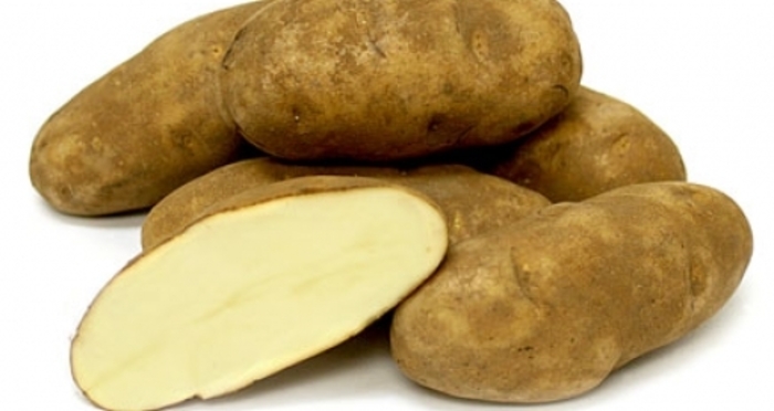 Potato - Solanum tuberosum 'Yukon Gold'