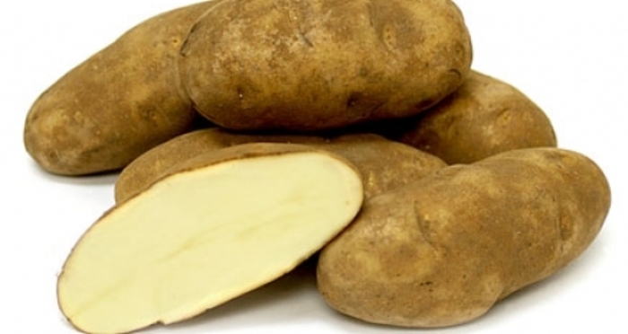 Potato - Solanum tuberosum 'Yukon Gold' Potato - Solanum tuberosum 'Yukon Gold'