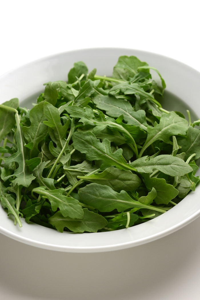 Arugula - Eruca vesicaria 'Simply Salad'