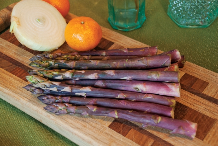 Asparagus - Asparagus 'Purple Passion'