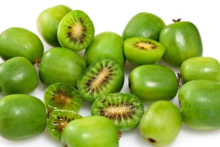 Kiwi - Actinidia arguta 'Issai'