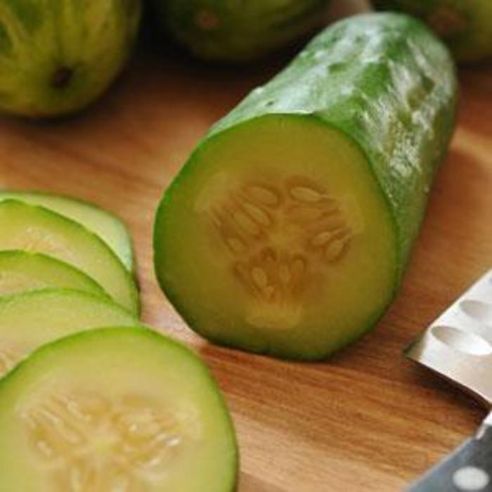 Cucumber - Cucumis sativus 'Gold Standard' Cucumber - Cucumis sativus 'Gold Standard'