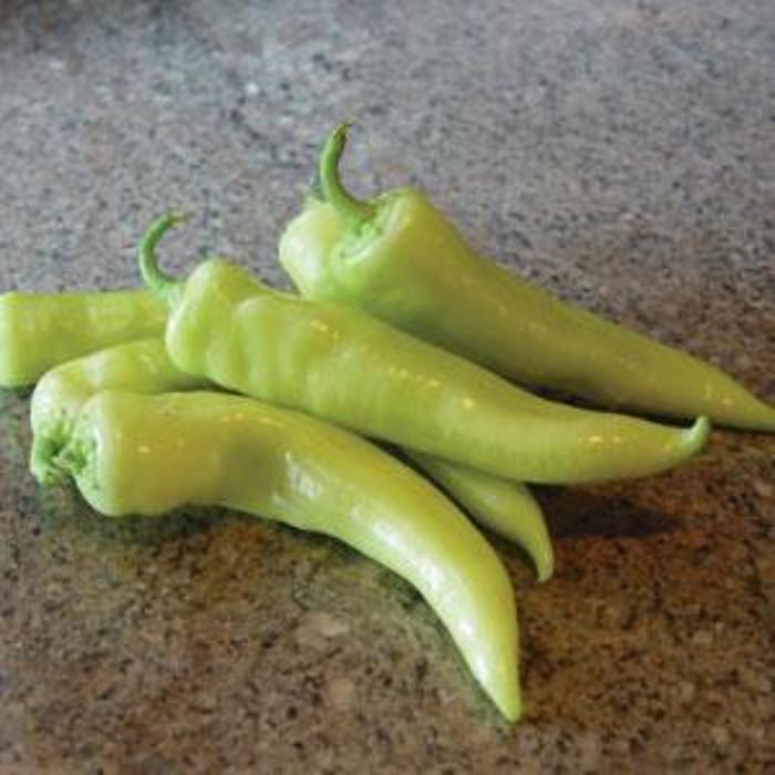 Pepper, Sweet Bell - Capsicum annuum 'Bananarama' Pepper, Sweet Bell - Capsicum annuum 'Bananarama'