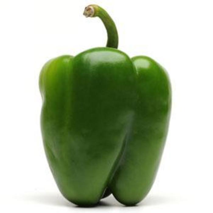 Pepper - Capsicum annuum 'Better Belle' Pepper - Capsicum annuum 'Better Belle'