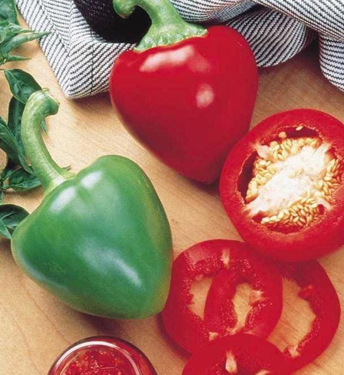 Pepper, Sweet Bell - Capsicum annuum 'Pimento Elite'