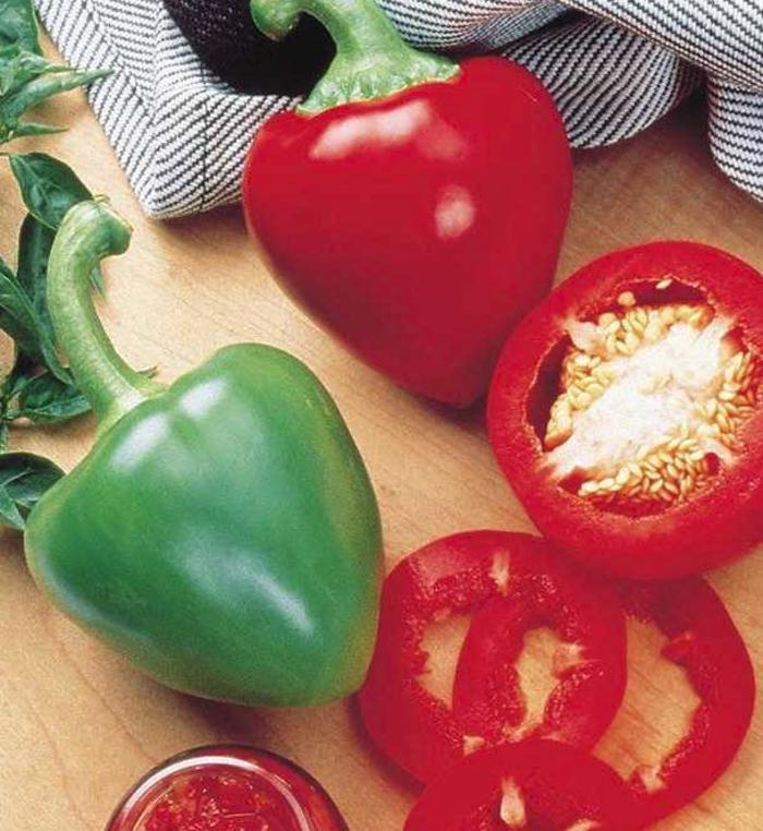 Pepper, Sweet Bell - Capsicum annuum 'Pimento Elite' Pepper, Sweet Bell - Capsicum annuum 'Pimento Elite'