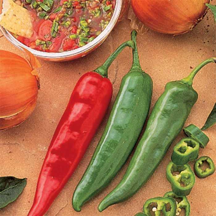 Pepper, Hot - Capsicum annuum 'Garden Salsa'