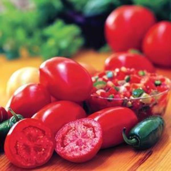 Tomato - Solanum lycopersicum 'Fresh Salsa'