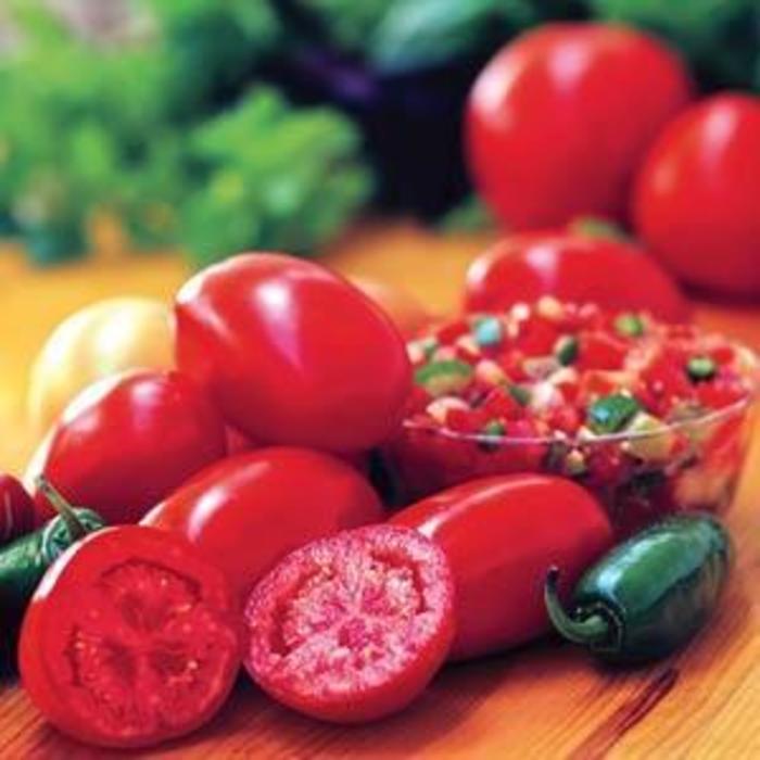 Tomato - Solanum lycopersicum 'Fresh Salsa' Tomato - Solanum lycopersicum 'Fresh Salsa'