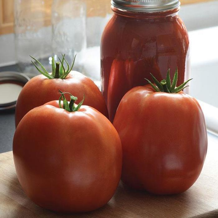 Tomato - Solanum lycopersicum 'SuperSauce' Tomato - Solanum lycopersicum 'SuperSauce'