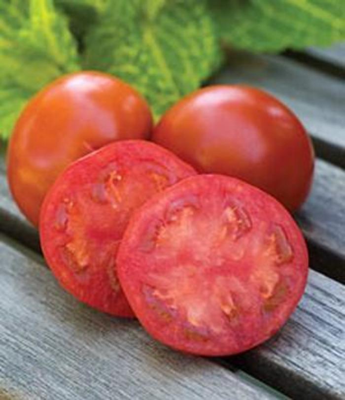 Tomato - Solanum lycopersicum 'Sweetie Seedless'