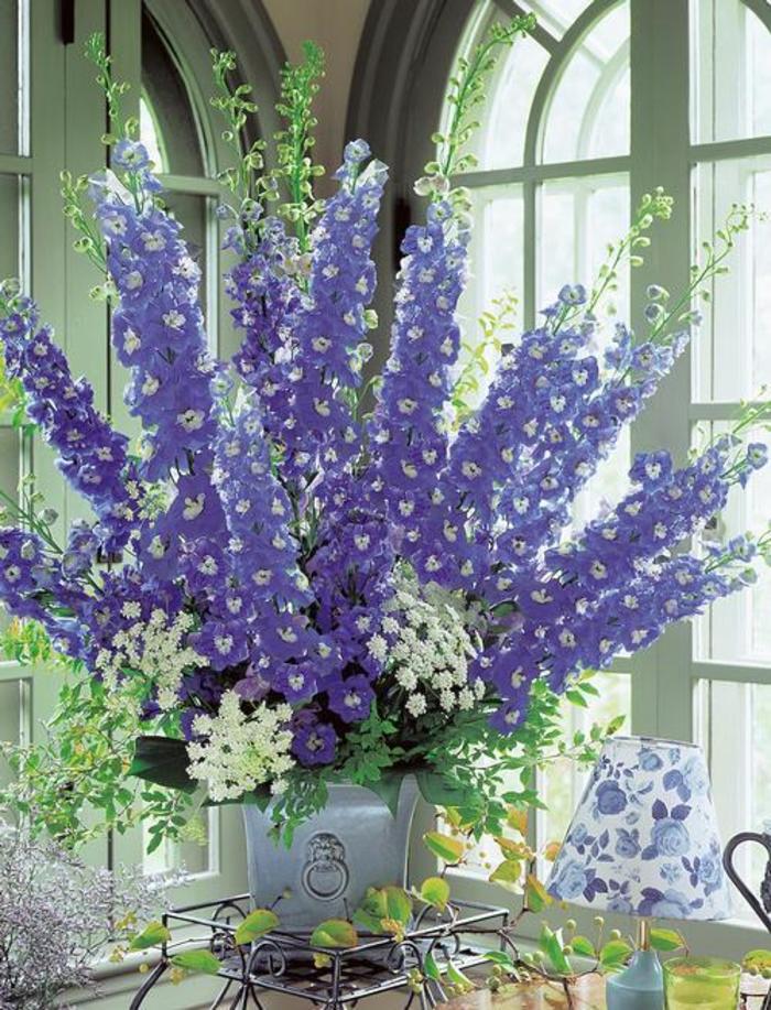 Larkspur - Delphinium elatum 'Aurora™ Blue' Larkspur - Delphinium elatum 'Aurora™ Blue'