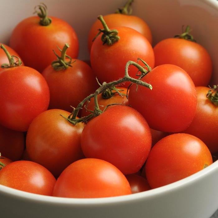 Tomato - Lycopersicon esculentum 'Mountain Magic' Tomato - Lycopersicon esculentum 'Mountain Magic'