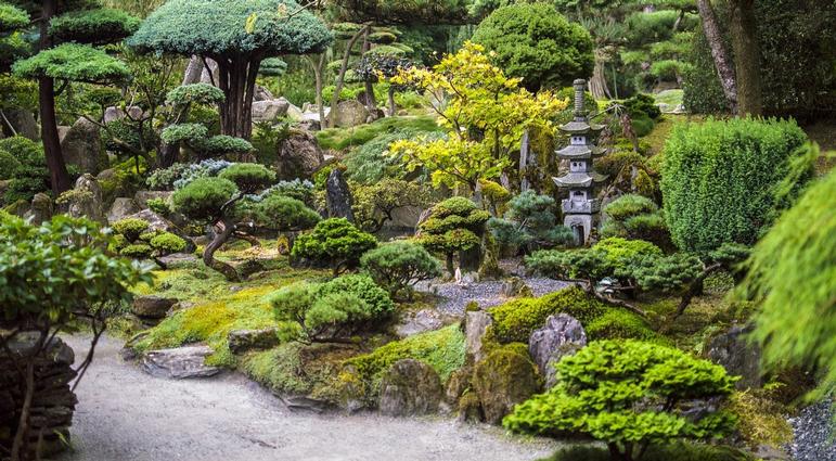 Theme Gardens Part 5: Serene Zen Gardens