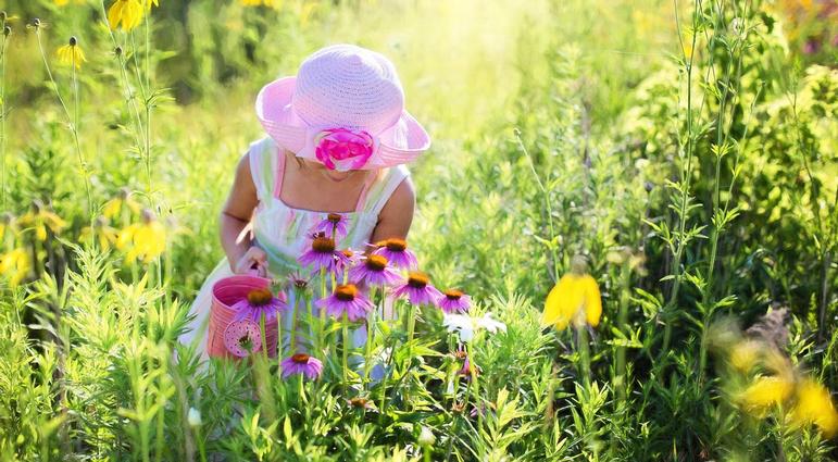 Theme Gardens Part 6: Three Kid-Friendly Ideas
