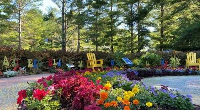 Planting the Color Wheel Part 1: The Rainbow Garden (Kid-friendly)!