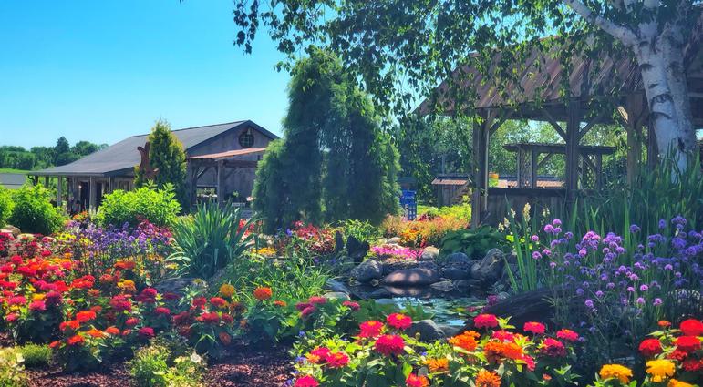 Summer At Ebert's Greenhouse