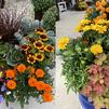 Seven Tips for Creating a Beautiful Fall Container