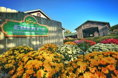Mum Fest: Unleash the Fall Fun!
