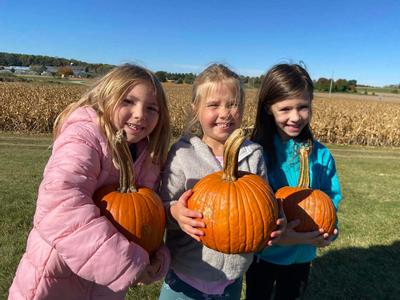 Fall Festival