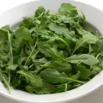 Eruca vesicaria 'Simply Salad' - Arugula