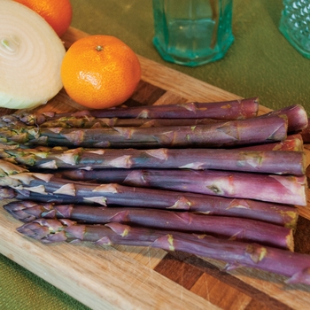 Asparagus 'Purple Passion' - Asparagus