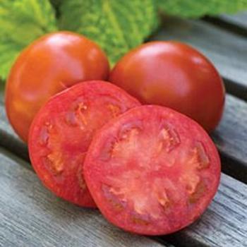 Solanum lycopersicum 'Sweetie Seedless' - Tomato