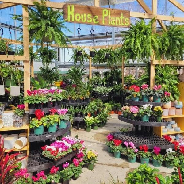 House Plant Seminar