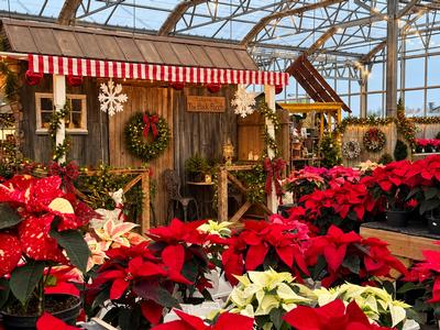 Christmas Open House