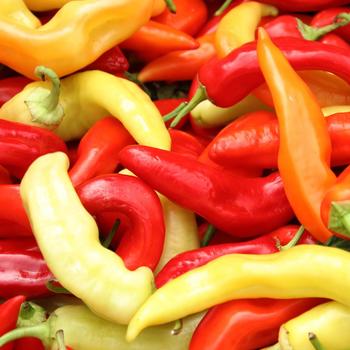 Pepper, Sweet Bell Pepper, Sweet Bell