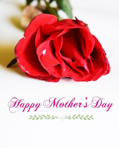 Mother's Day Grab and Go