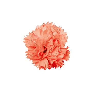 Vivacia™ Orange