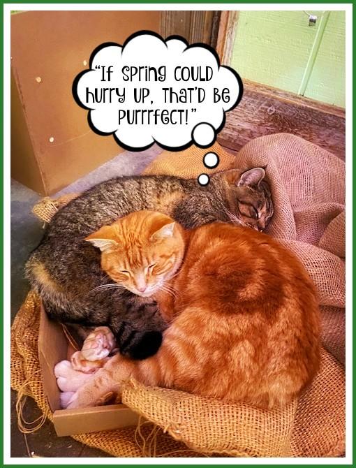 Get Ready For Spring 2026!