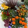 Seven Tips for Creating a Beautiful Fall Container