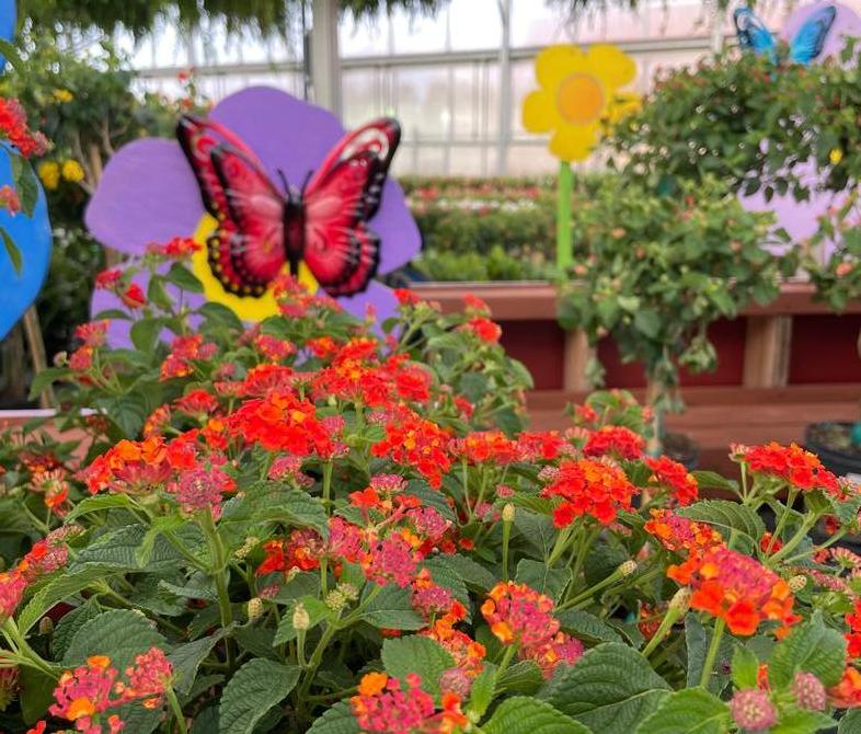 Voted 'Best Green Thumb Paradise'