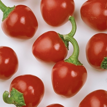Pepper, Sweet Bell Pepper, Sweet Bell