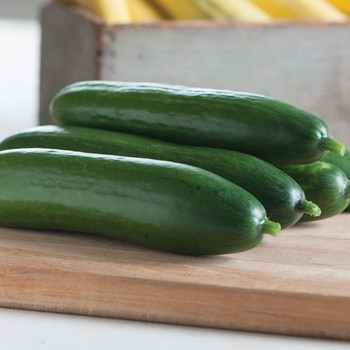 Cucumber Cucumber