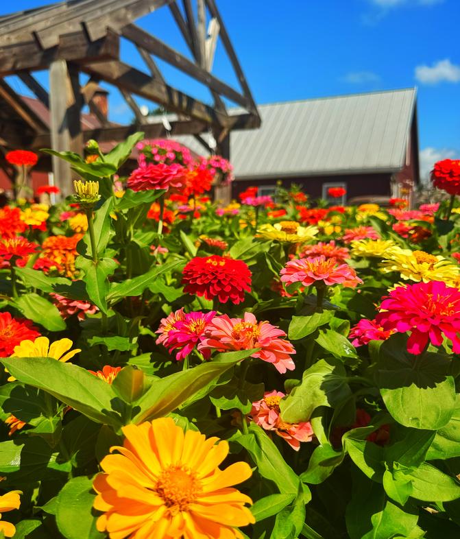 Voted 'Best Green Thumb Paradise'