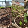 The Westbrook Comes Alive: Spring's First Month at Ebert's