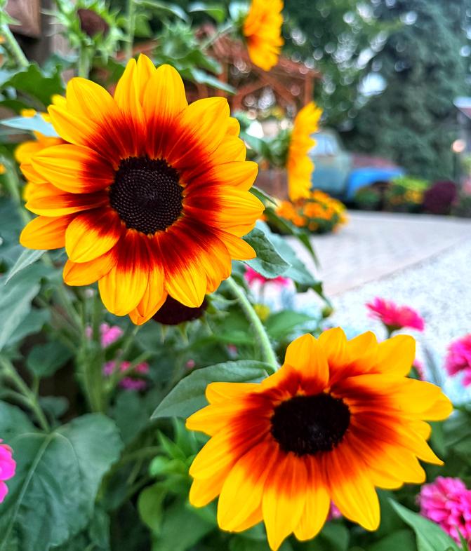 Voted 'Best Green Thumb Paradise'