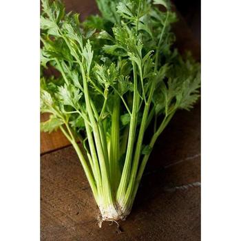 Celery Celery