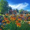 Summer At Ebert's Greenhouse