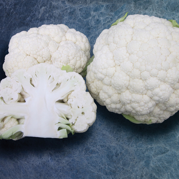 Cauliflower Cauliflower